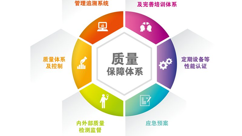 产后气血调理十大品牌：揭秘调理背后的科学原理与误区